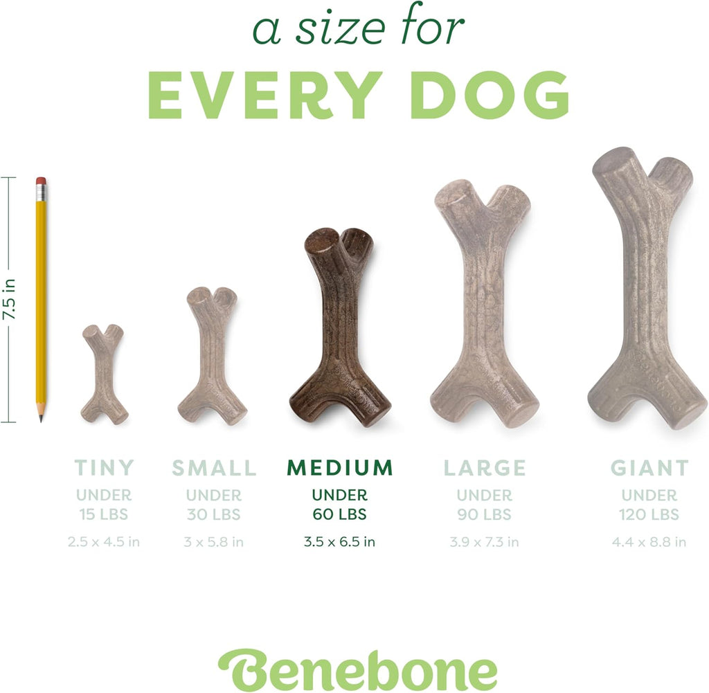 Maplestick Real Wood Durable Dog Chew Toy, Medium
