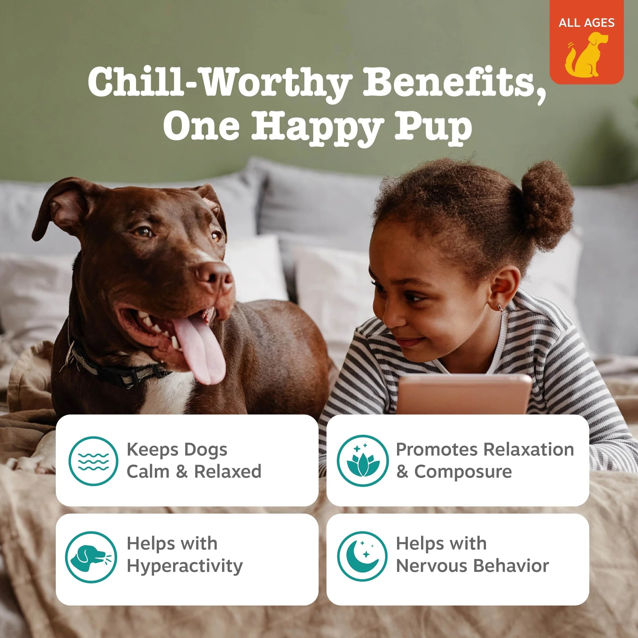 Lil' Zesties™ Calming Squares™ Chewables for Dogs