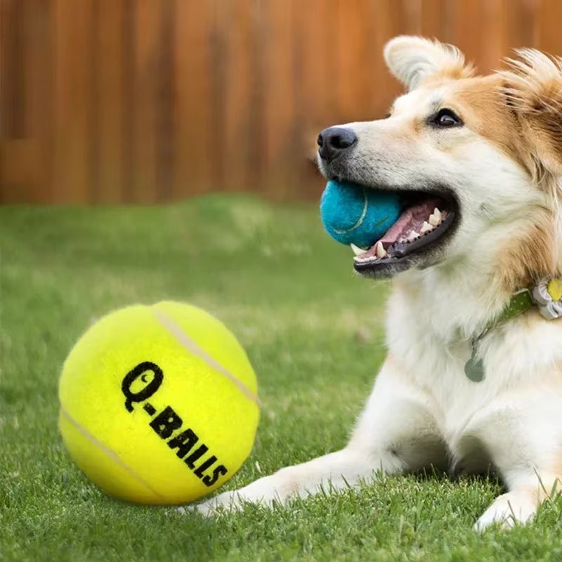 Dog Toy Set Q-MONSTER Thick Walled Natural Rubber Squeak Chew Balls for Dogs Tennis Interactive Bouncy Balls for Training 4-Pack