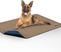 Washable Pee Pads for Dogs, Leakproof, Non-Slip Reusable Puppy Pads for Potty Training, Whelping, Waterproof Mat (48X60 Inch, Pack of 1)