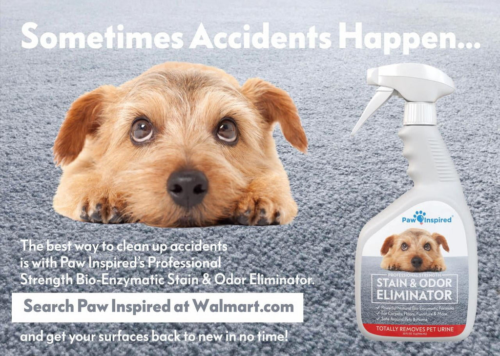 Disposable Dog Diapers Female| Puppy, Doggie, Cat Diapers |Diapers for Dogs in Heat Period, Diapers That Stay on Bulk, Senior, Excitable Urination, or Incontinence (X-Small, 32 Count)