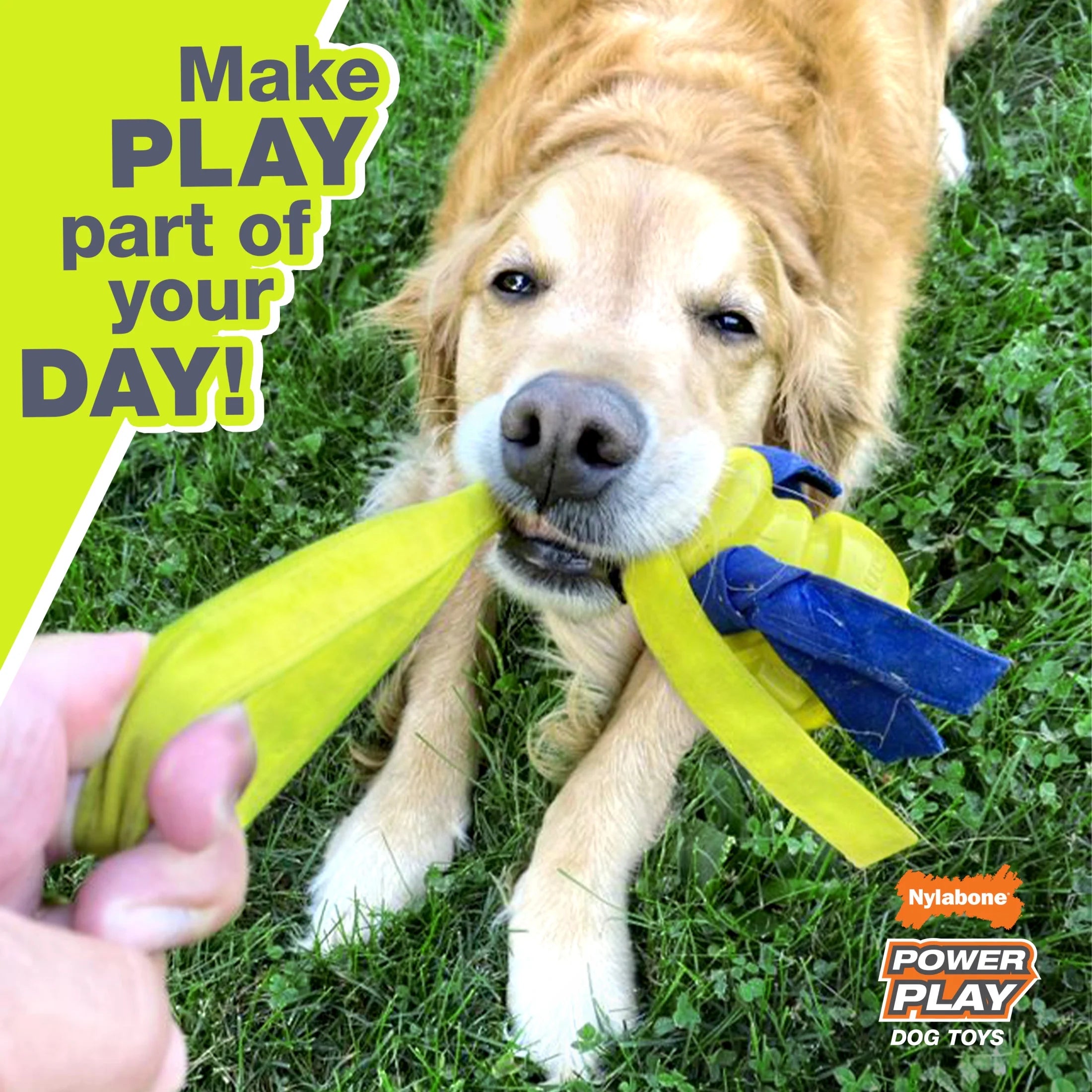 Power Play Basketball Gripz Dog Toy, Dog Balls, Squeaky Toy for Dogs, Medium