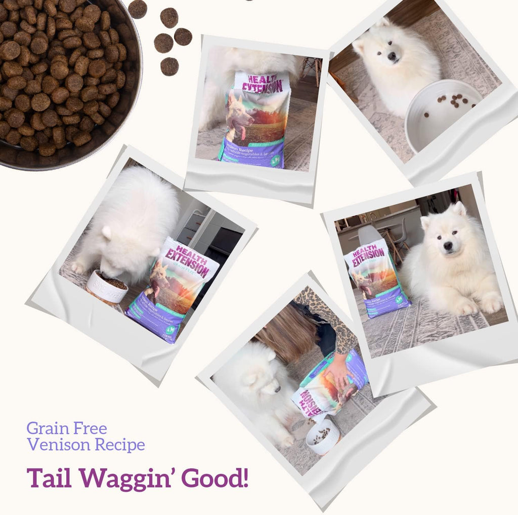 Dry Dog Food, Natural Food with Added Vitamins & Minerals, Suitable for All Puppies, Include Venison & Sweet Potato Recipe with Whole Vegetable & Berries (4 Pound)
