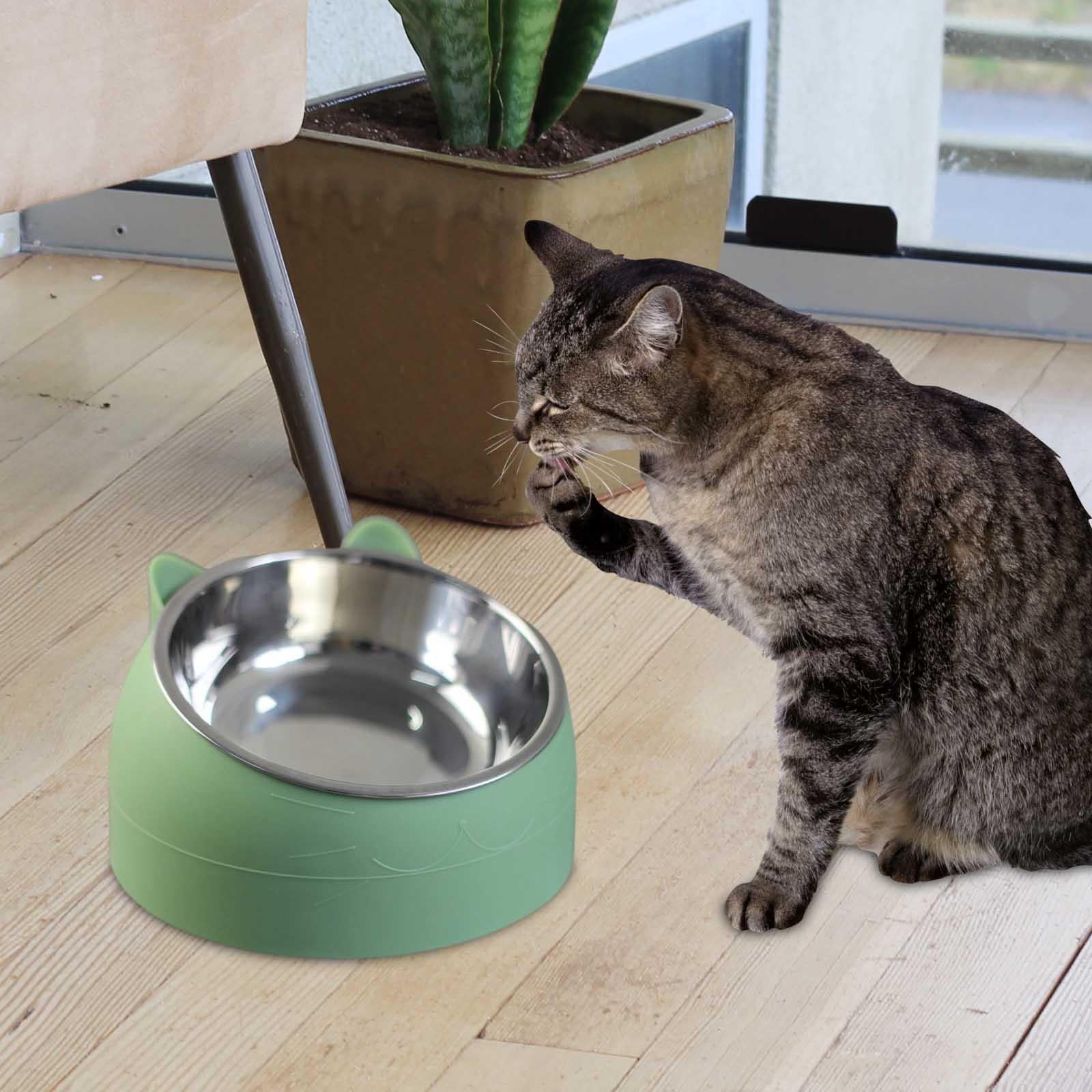 Pet Food Water Bowls Tilted Elevated Raised Cat Bowls Cat Feeder Dishes Protect Cats, Small Dogs Indoor Green