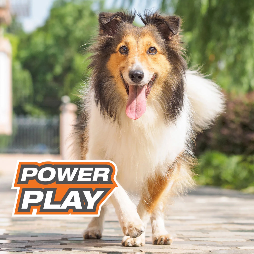 Power Play Basketball Gripz Dog Toy, Dog Balls, Squeaky Toy for Dogs, Medium