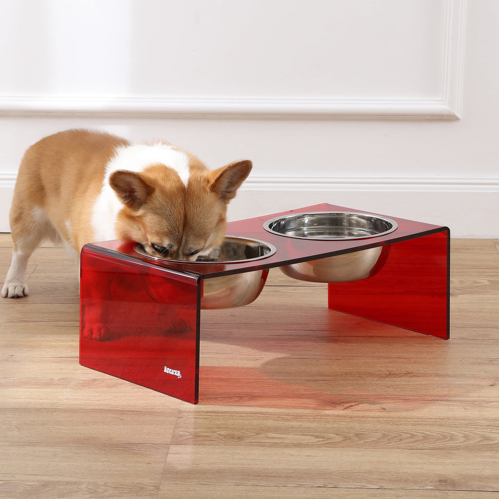 Keaton 7.5" Medium/Large Modern Acrylic Rectangular Elevated Pet Feeder with 54Oz 2-Stainless Steel Bowls, Red/Chrome, DBL2001H