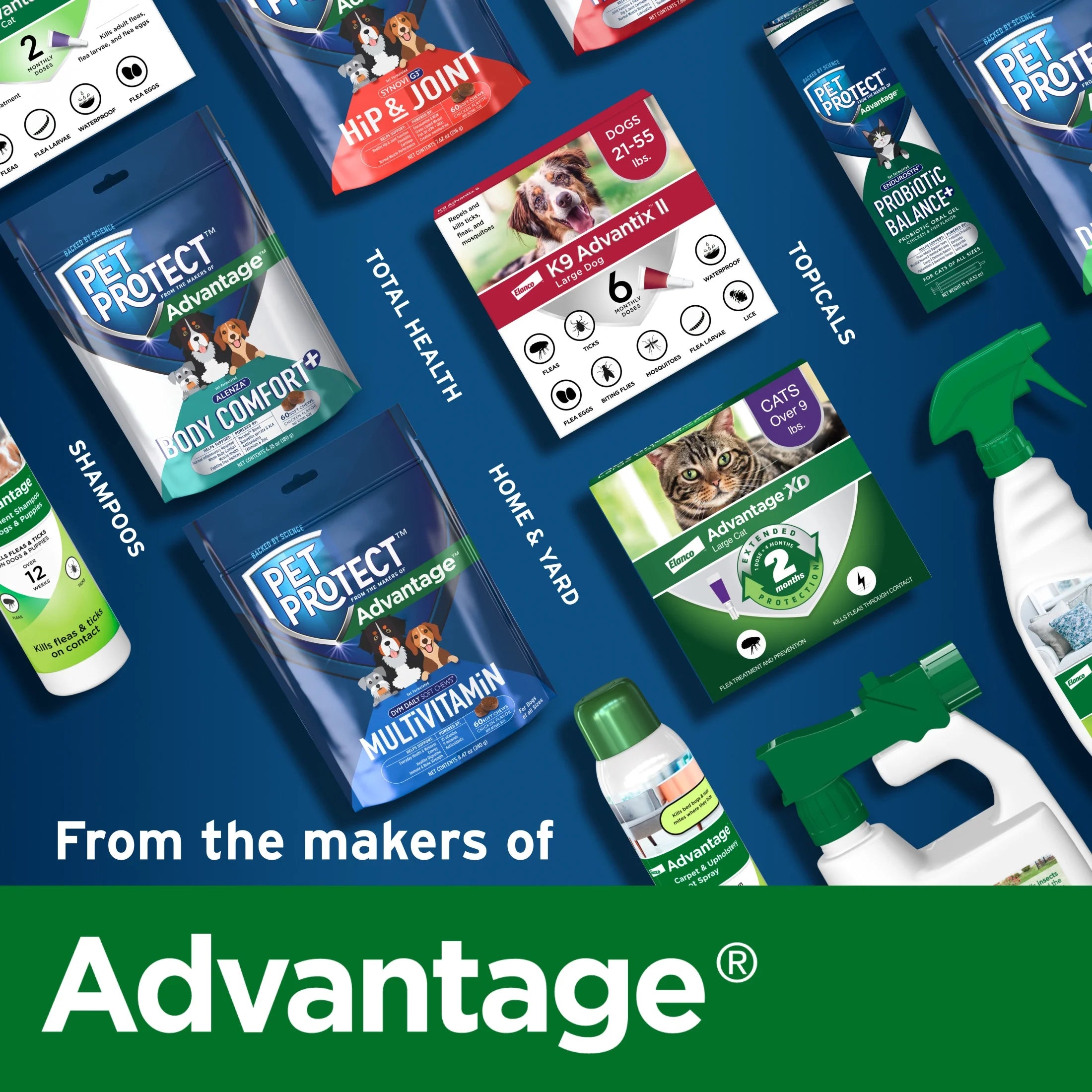 Cat & Small Dog Omega-3 Supplement, Free Form Blend, 60 Snip-Tip Capsules