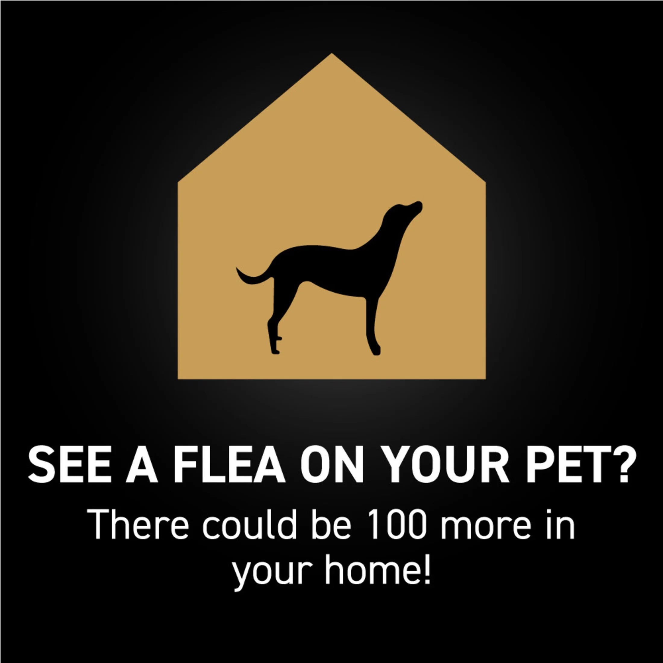 (2 Pack)  Flea & Tick Topical Prevention for Dogs 23-44 Lbs, 3-Month Supply