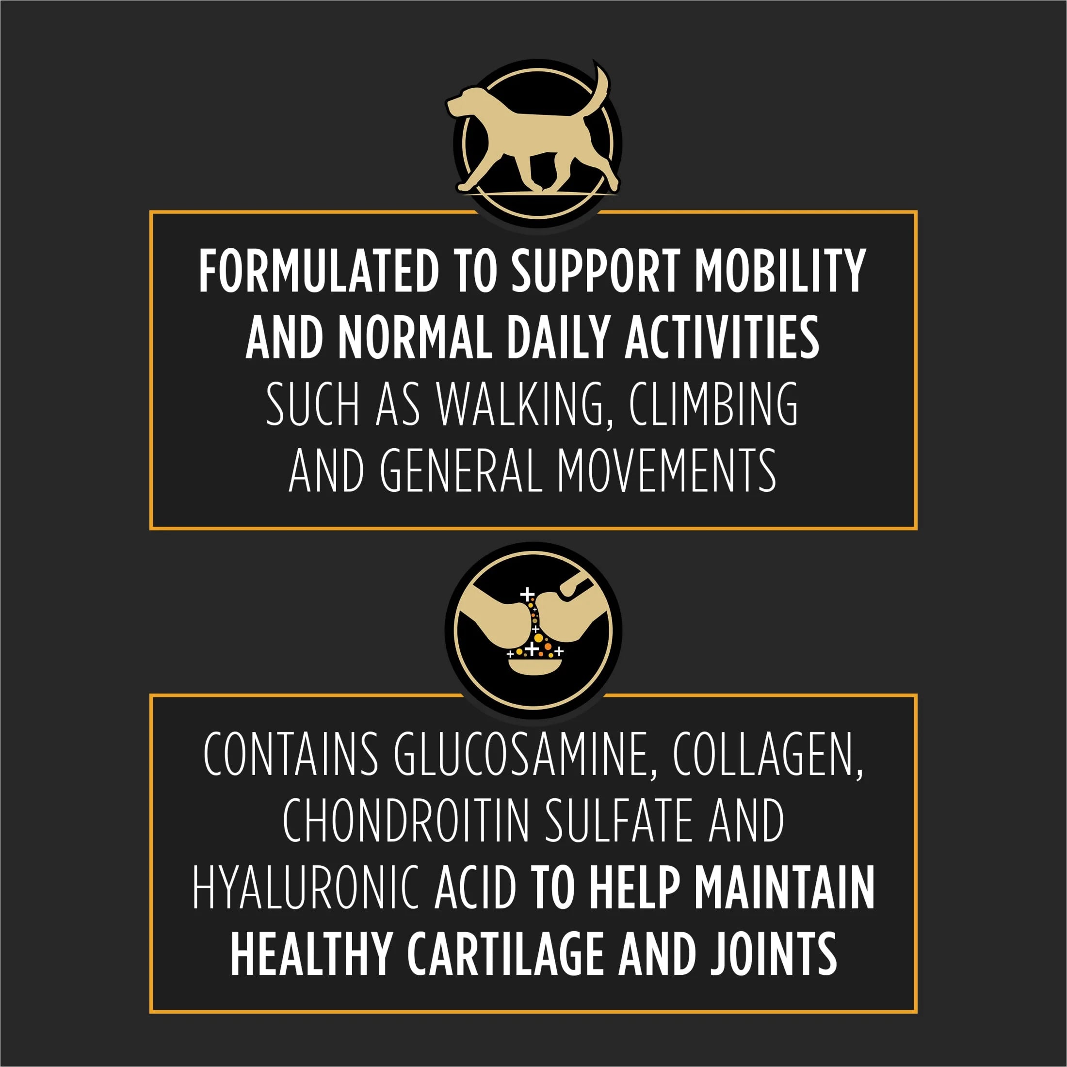 Veterinary Supplements Joint Care Mobility Canine Joint Supplement Hip and Joint Small Breed Dog Chews