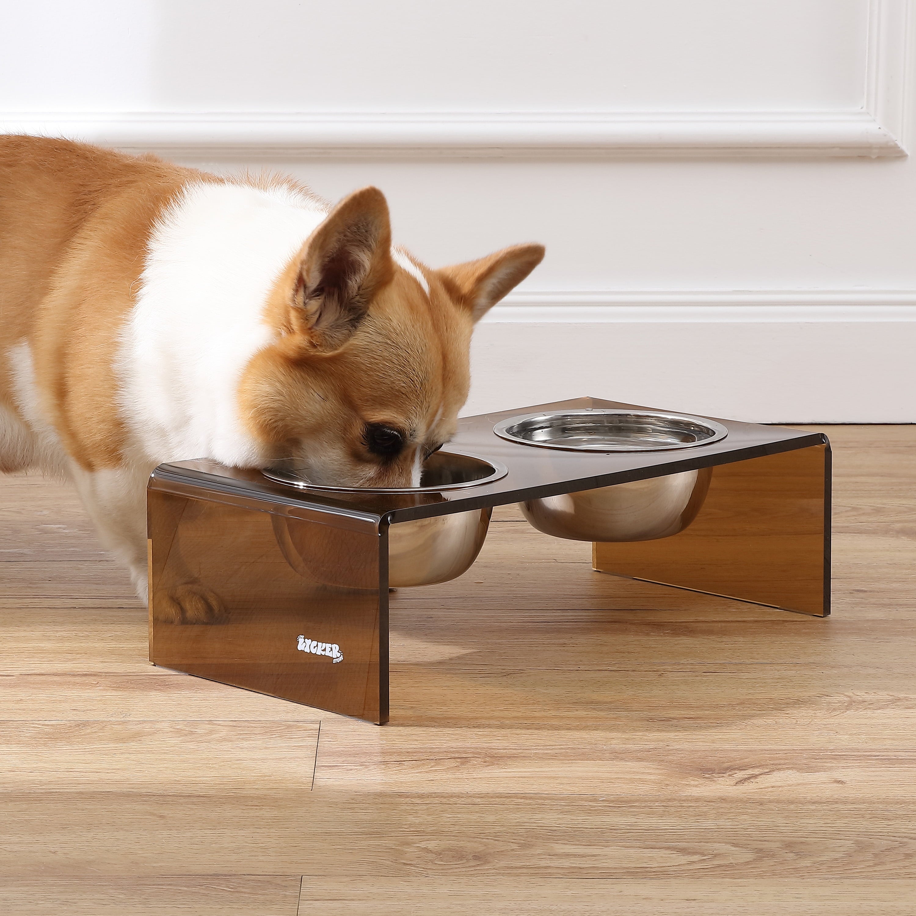 Keaton 5" Small/Medium Modern Acrylic Rectangular Elevated Pet Feeder with 20Oz 2-Stainless Steel Bowls, Amber/Chrome, DBL2000D