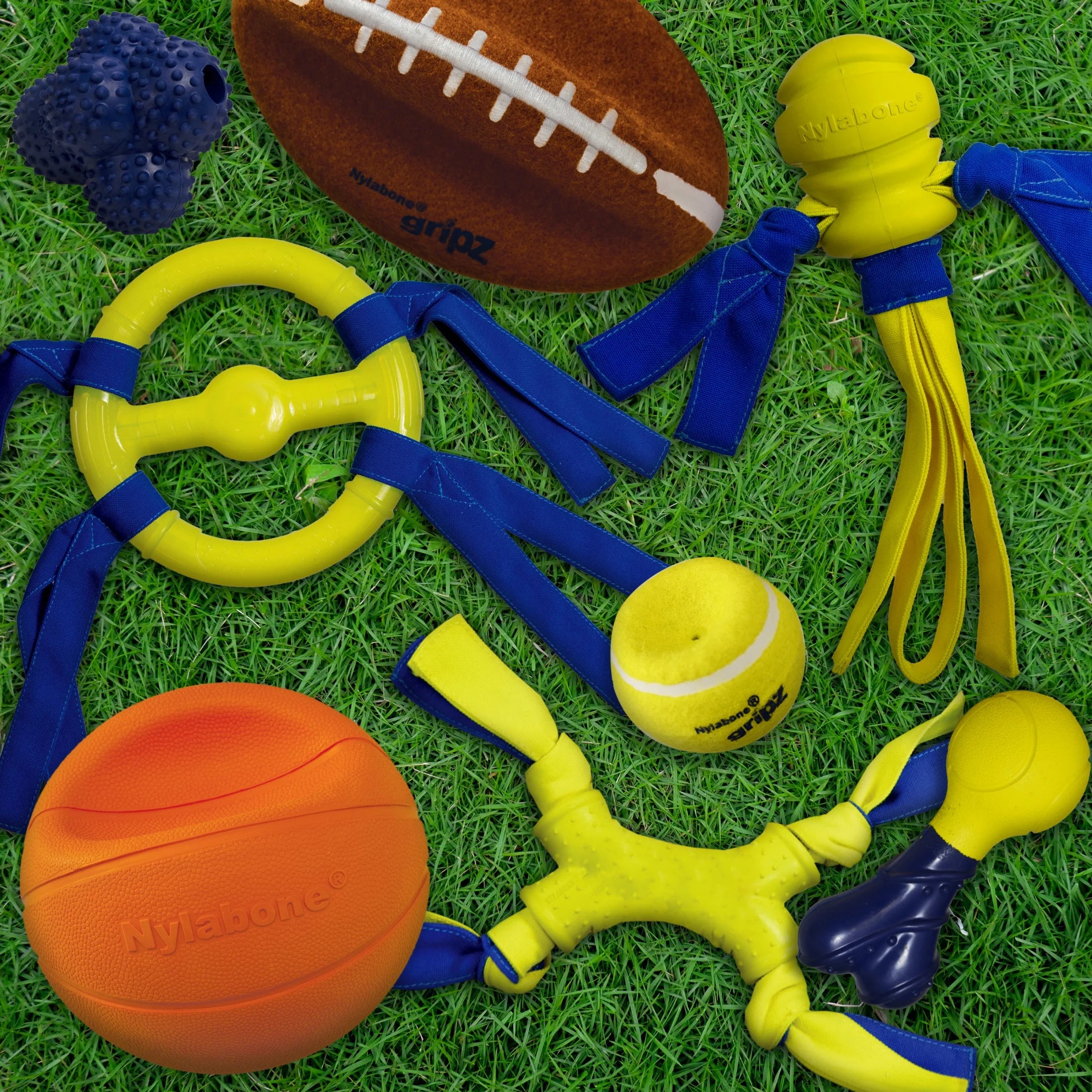 Power Play Basketball Gripz Dog Toy, Dog Balls, Squeaky Toy for Dogs, Medium