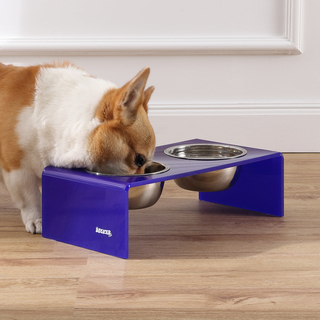Keaton 5" Small/Medium Modern Acrylic Rectangular Elevated Pet Feeder with 20Oz 2-Stainless Steel Bowls, Purple/Chrome, DBL2000F
