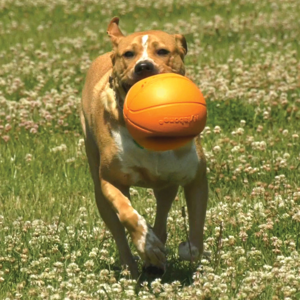 Power Play Basketball Gripz Dog Toy, Dog Balls, Squeaky Toy for Dogs, Medium