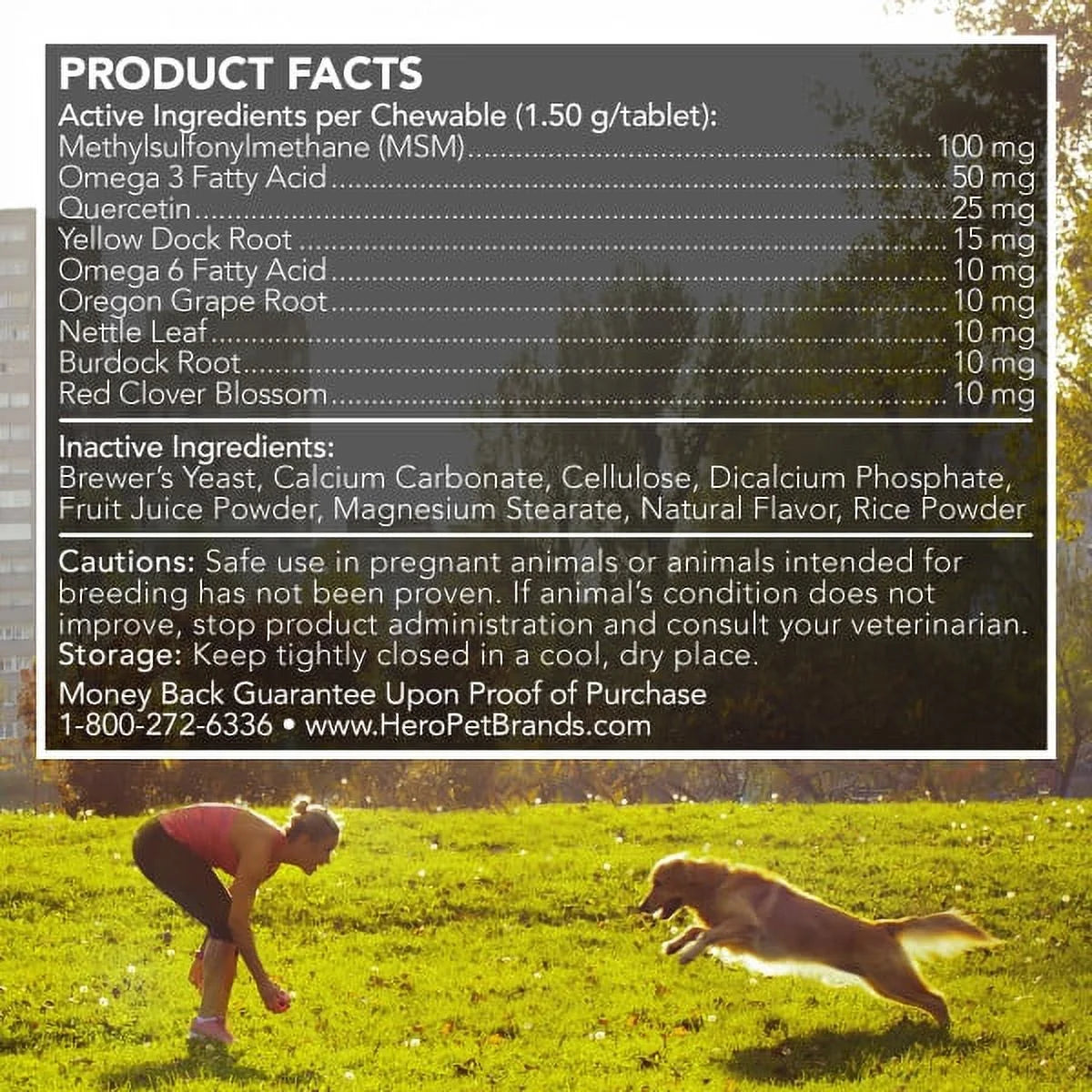 Best Healthy Coat Shed and Itch Relief Supplements for Dogs - 50 Chewable Tablets - 4.5 Oz.