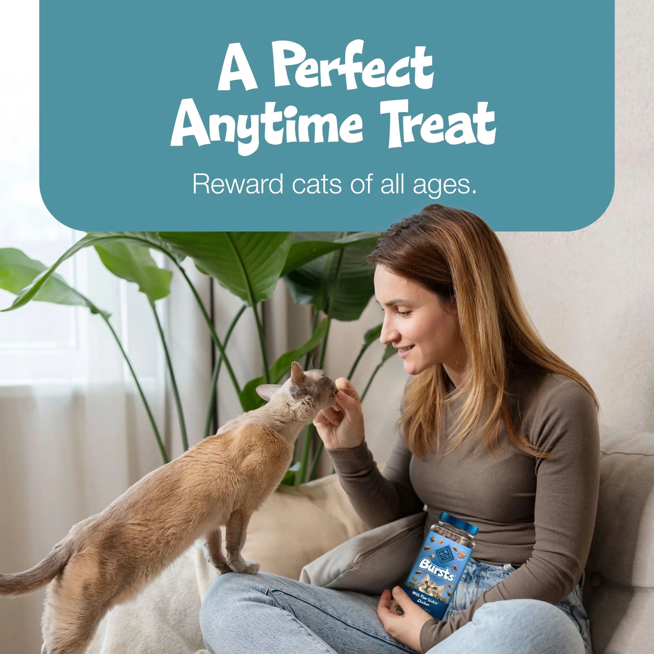 Bursts Crunchy & Creamy Cat Treats, Great for Training, Savory Seafood, 12-Oz Tub