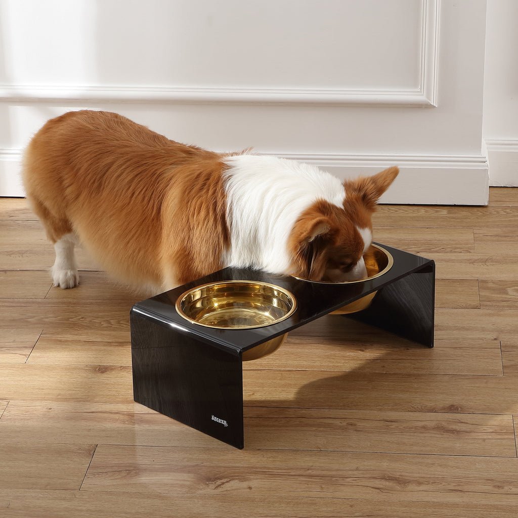Keaton 7.5" Medium/Large Modern Acrylic Rectangular Elevated Pet Feeder with 54Oz 2-Stainless Steel Bowls, Black/Gold, DBL2001B