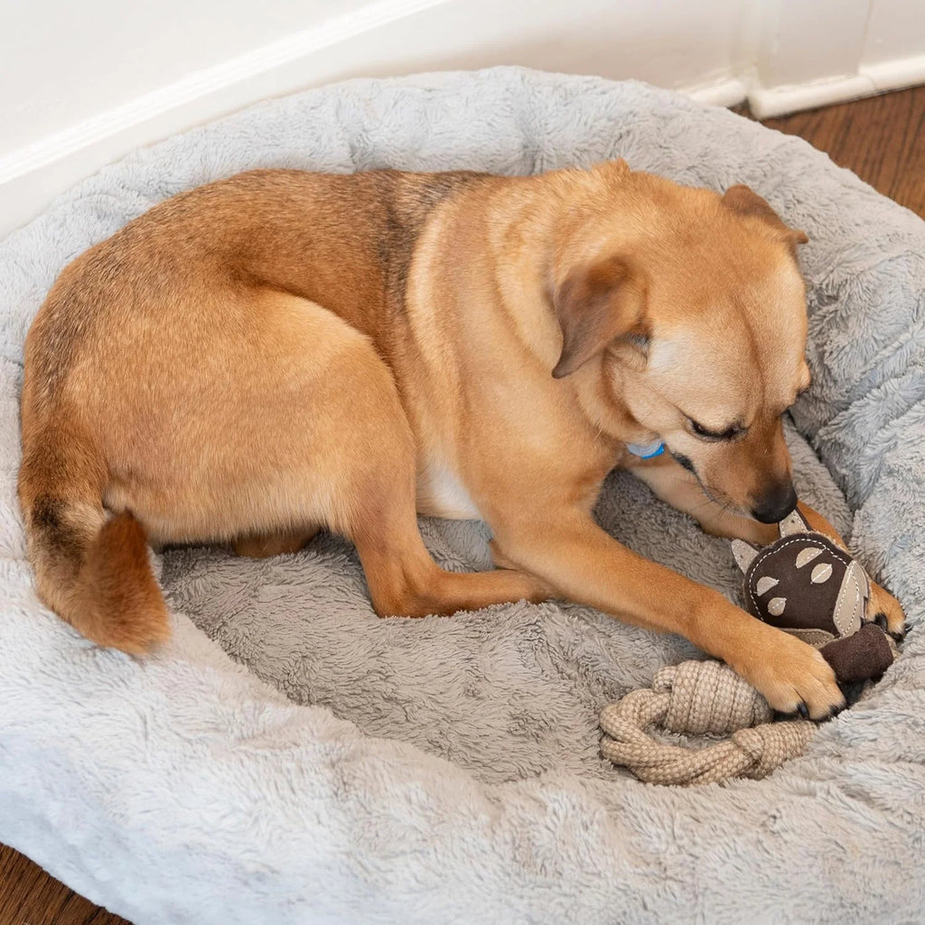 Dura-Fused Leather Animal Rings Dog Rope Toy, Great Dog Ring Toy for Tugging and Chewing, 11In, Assorted Styles, 1 Piece.