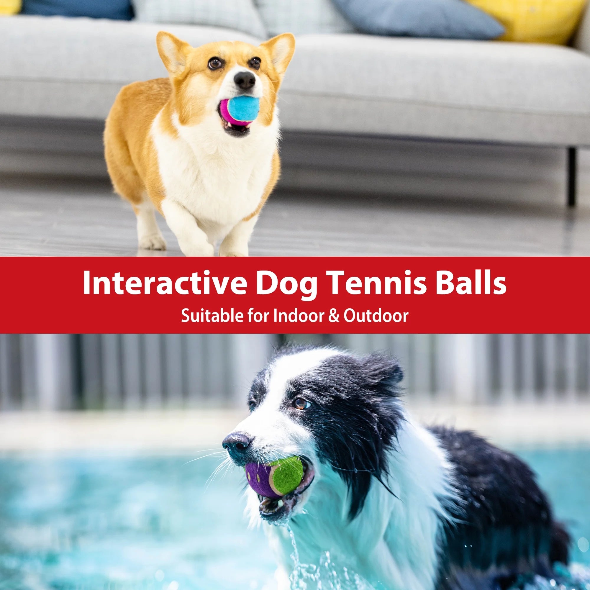 Tennis Balls for Dogs, Squeaky Dog Tennis Balls for Exercise, High Bouncy Pet Ball Bright Colors 2.5 Inches, Interactive Funny Dog Toys for All Breeds of Dogs Indoor & Outdoor Games, 5 Pack