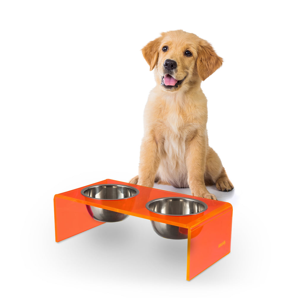 Keaton 5" Small/Medium Modern Acrylic Rectangular Elevated Pet Feeder with 20Oz 2-Stainless Steel Bowls, Pink/Chrome, DBL2000E