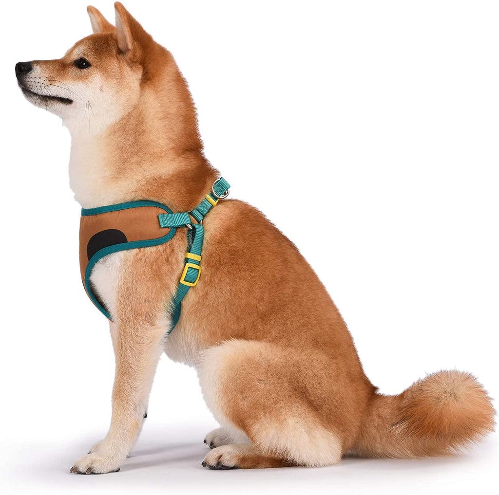 Warner Brothers Scooby-Doo Dog Harness | Soft and Comfortable Small Dog Harness |  Dog Harness No Pull Tan and Blue Dog Harness | Cute Dog Harnesses for Small Dogs