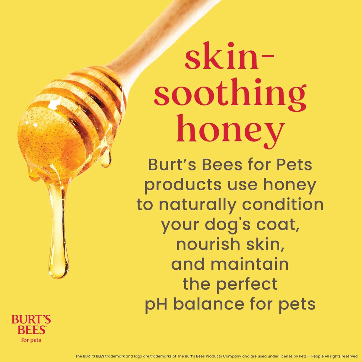 Burts Bees for Pets Honey Multipurpose Dog Grooming Wipes, 50 Count