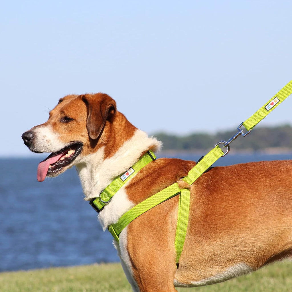 Reflective Step-In Dog Harness – Adjustable No-Pull Vest for Puppies to Seniors, Safe & Comfortable, XS Marsala