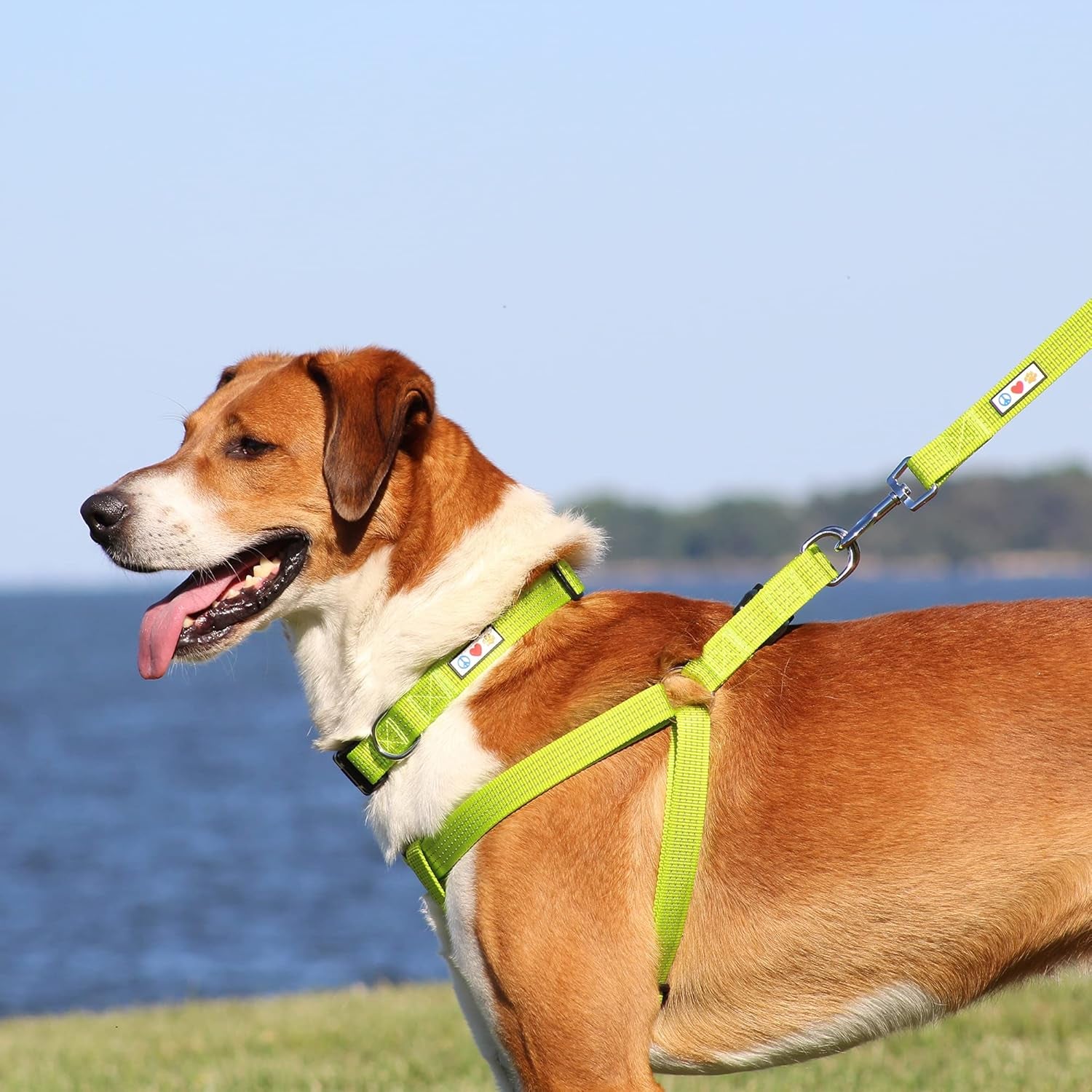 Reflective Step-In Dog Harness – Adjustable No-Pull Vest for Puppies to Seniors, Safe & Comfortable, XS Marsala