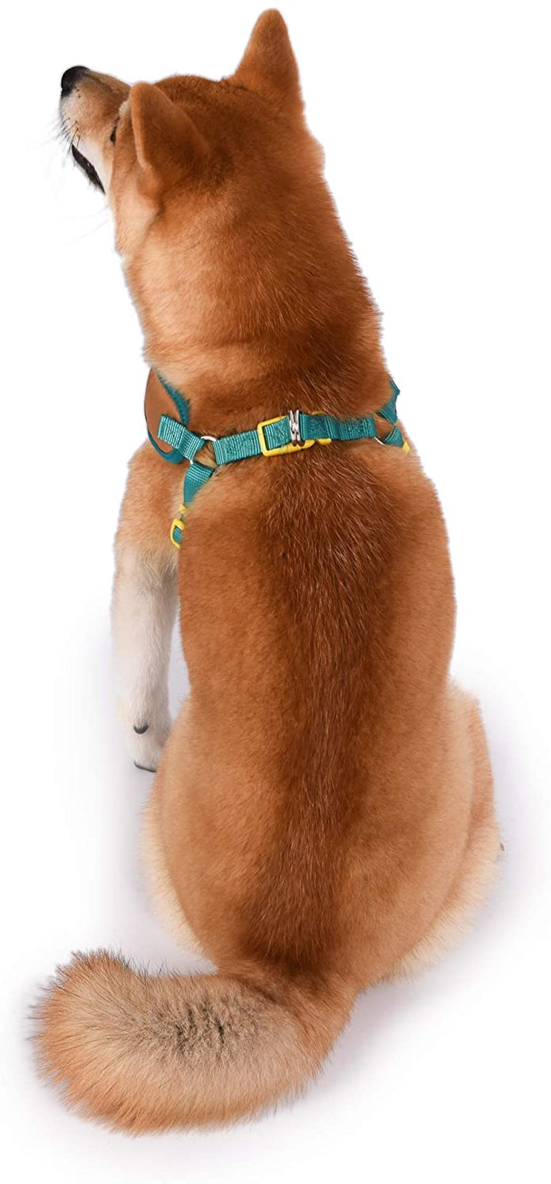 Warner Brothers Scooby-Doo Dog Harness | Soft and Comfortable Small Dog Harness |  Dog Harness No Pull Tan and Blue Dog Harness | Cute Dog Harnesses for Small Dogs