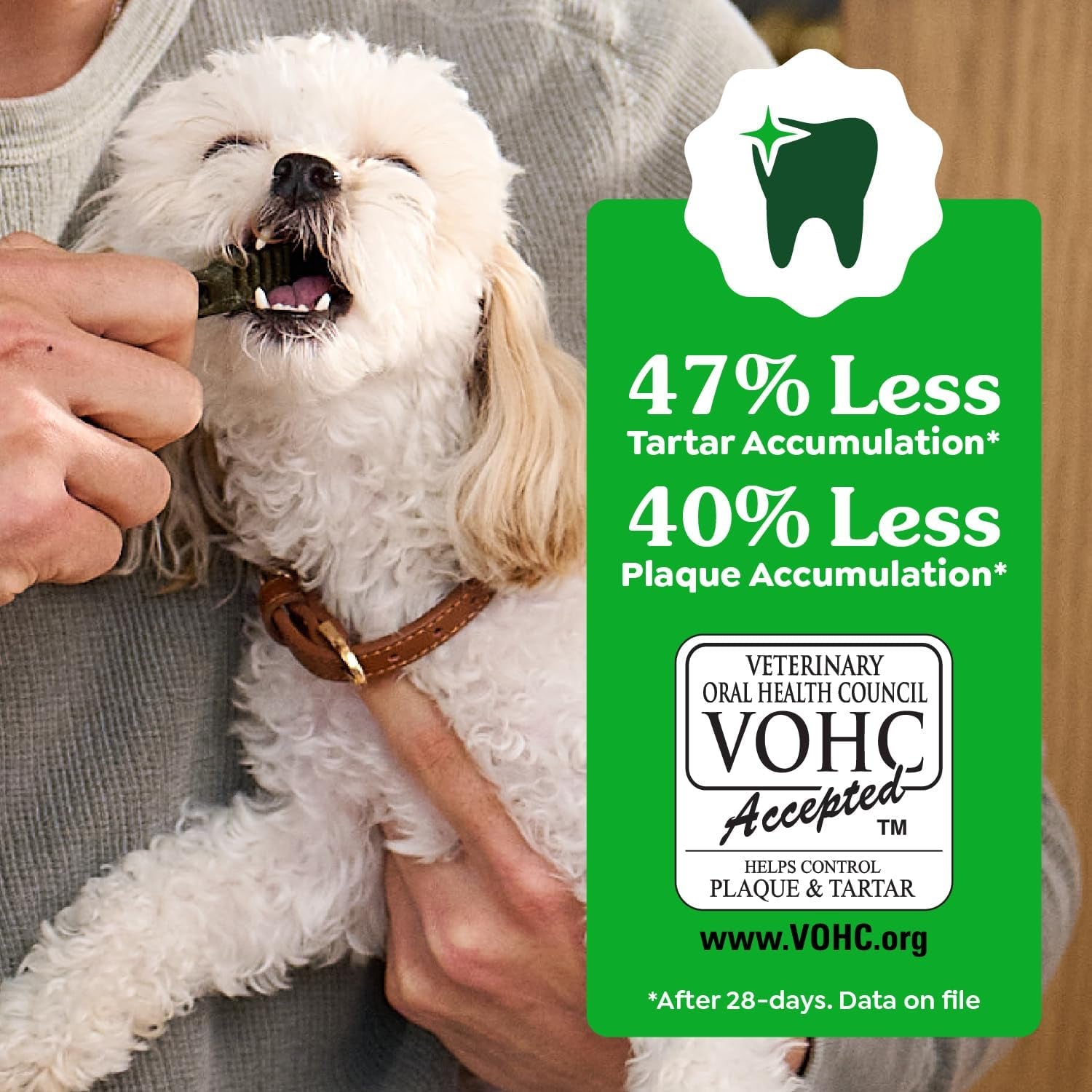 Veterinarian-Recommended Adult Natural Dental Dog Treats Petite Size, Dog Dental Chews, Original Flavor, 36 Oz. Pack, 60 Count