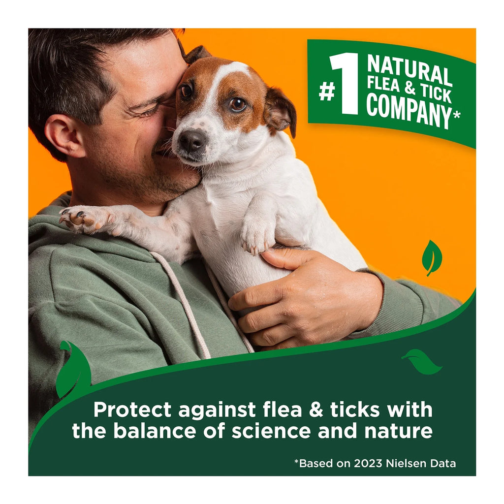 Flea & Tick Shampoo for Dogs – Peppermint Scent - 12Oz